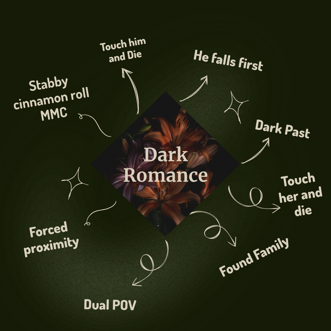 Dark Romance Book Box