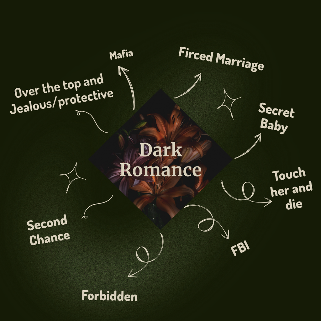 Dark Romance Book Box