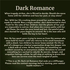 A dark-themed informational graphic with the title 'Dark Romance' at the top and several paragraphs of white text below, warning about content warnings for an 18+ dark ish romance.