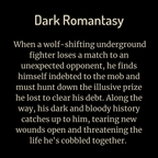 Description of thedark romantasy book